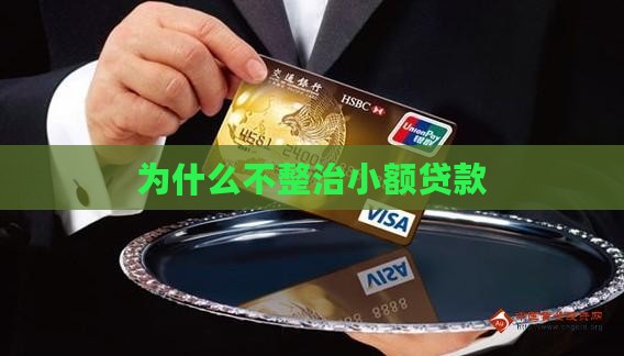 为什么不整治小额贷款