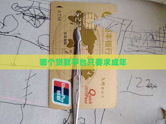 哪个贷款平台只要求成年