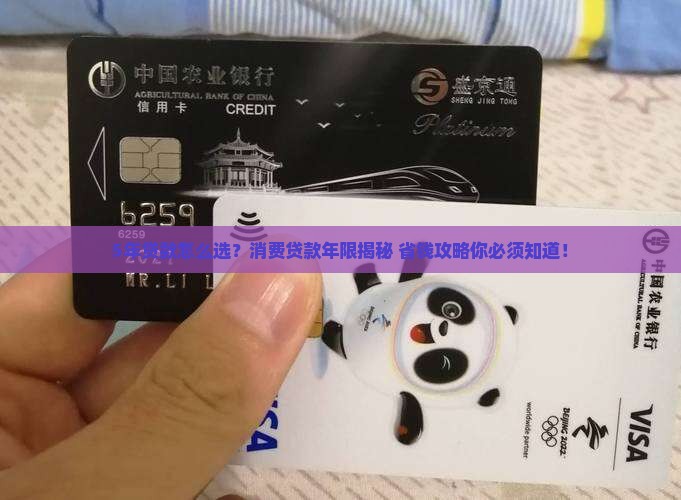 消费贷款贷款年限5年