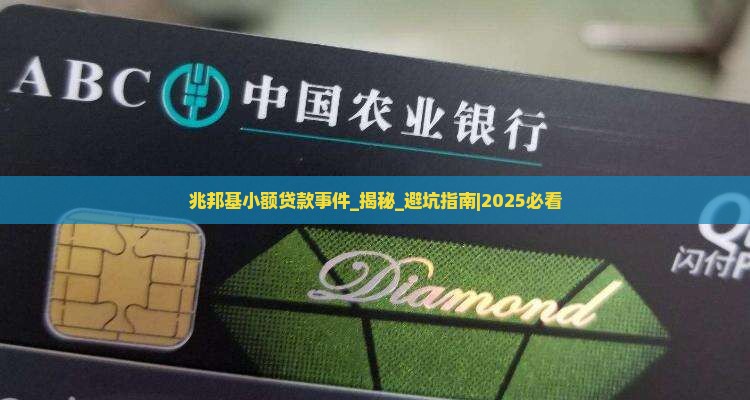 兆邦基小额贷款事件