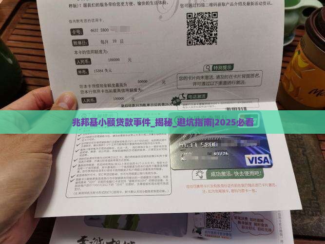 兆邦基小额贷款事件