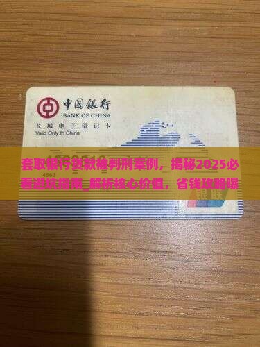 套取银行贷款被判刑案例