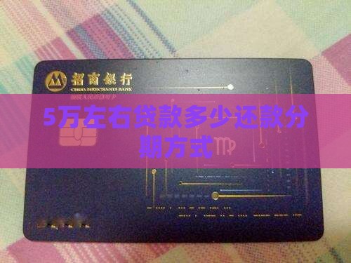 5万左右贷款app分期还款方式