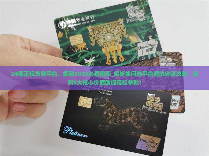24期正规贷款平台