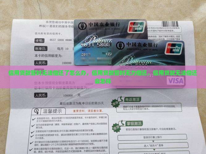 信用贷款暂时无法偿还了