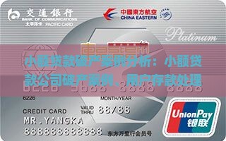 小额贷款破产案例分析
