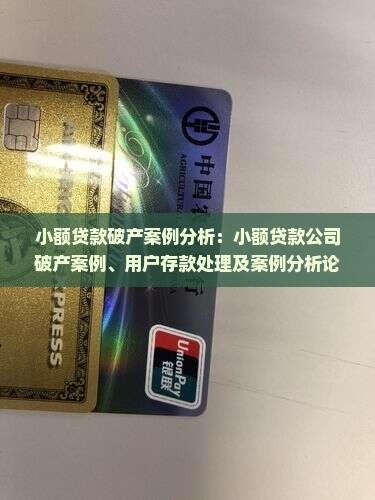 小额贷款破产案例分析