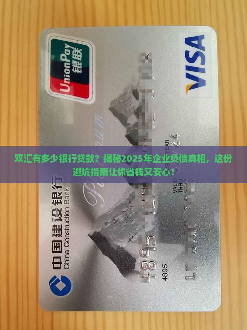 双汇有多少银行贷款