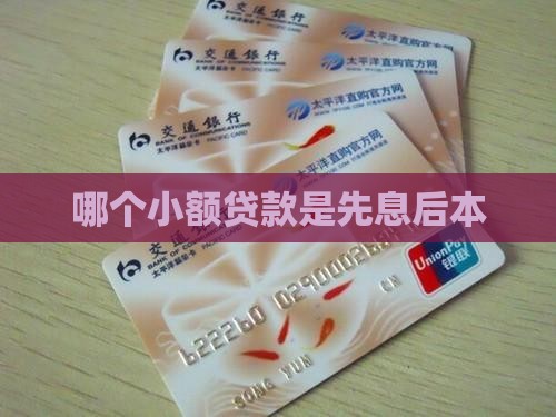 哪个小额贷款是先息后本