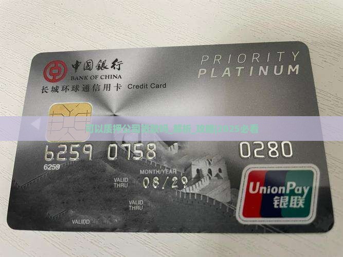 可以质押公司贷款吗