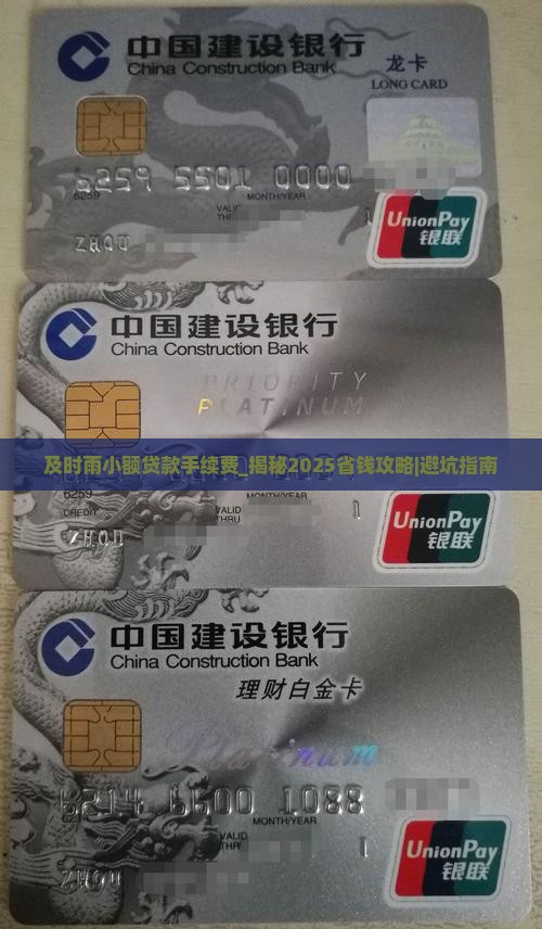 及时雨小额贷款手续费