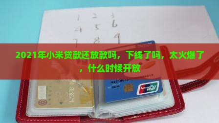 2021年小米贷款