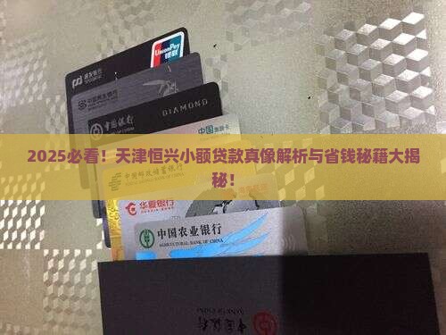 天津恒兴小额贷款怎么样