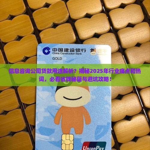 信息咨询公司贷款用途