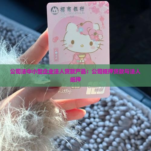 公司法人保单贷款