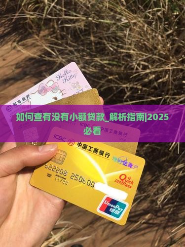 如何查有没有小额贷款