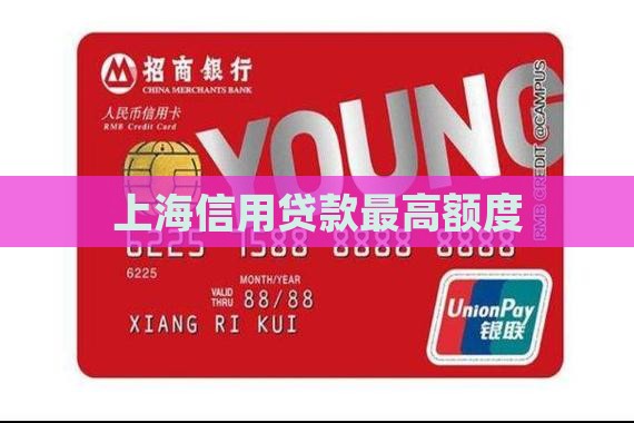 上海市信用贷款额度