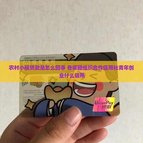 农村小额贷款是怎能回事