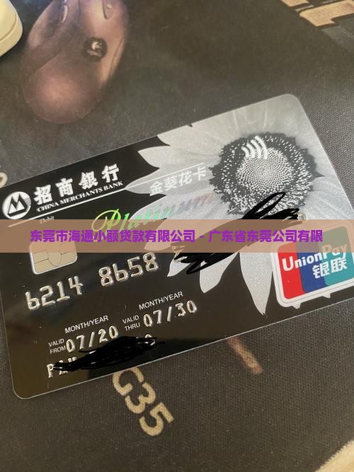 东莞海通小额贷款