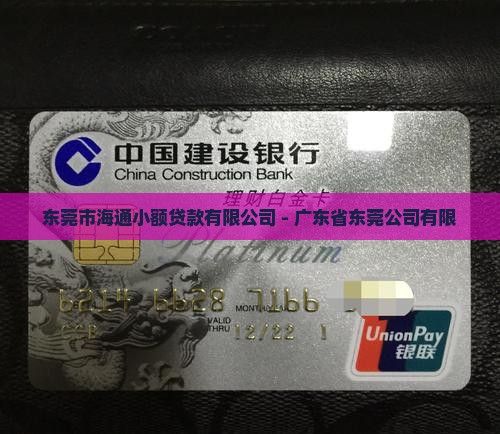东莞海通小额贷款