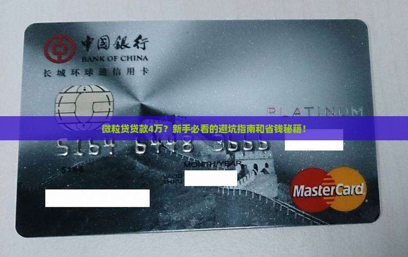 微粒贷贷款40000