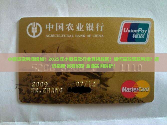 小额贷款利润增加