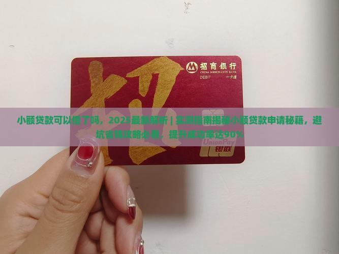 小额贷款可以借了吗