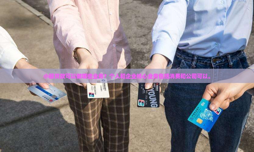 小额贷款可以做哪些业务