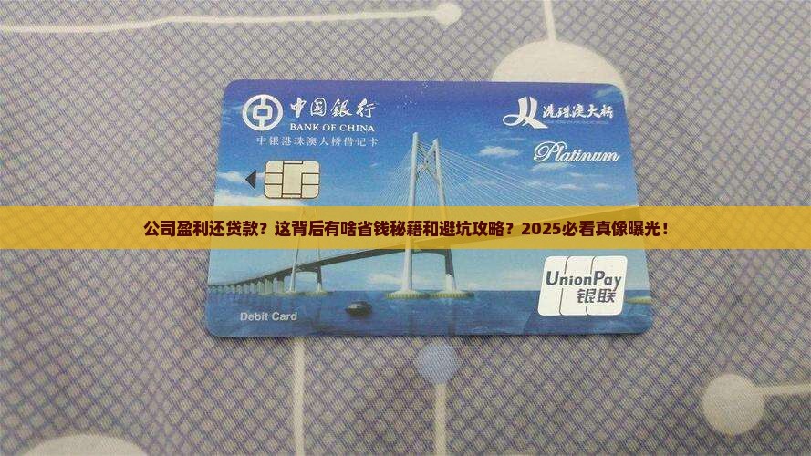 公司盈利但是还了贷款