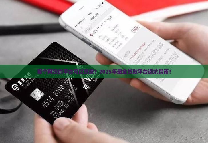 哪个网贷的平台可以贷款