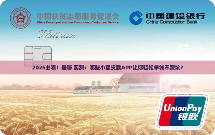 必通过的小额贷款app