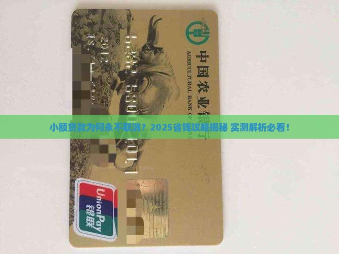 小额贷款不取消