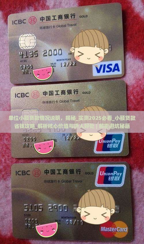 单位小额贷款情况说明