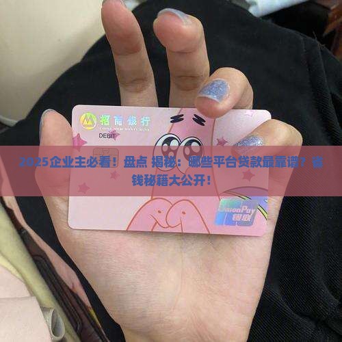 哪些平台可以企业主贷款