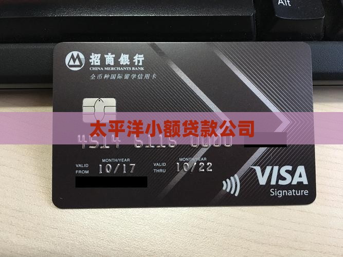 太平洋金融小额贷款