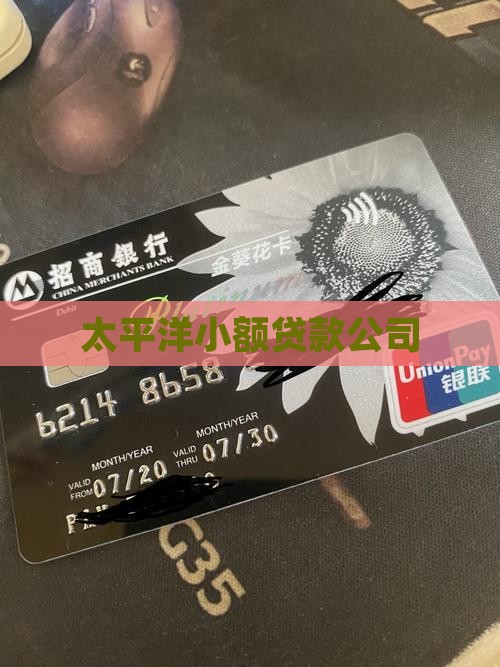 太平洋金融小额贷款