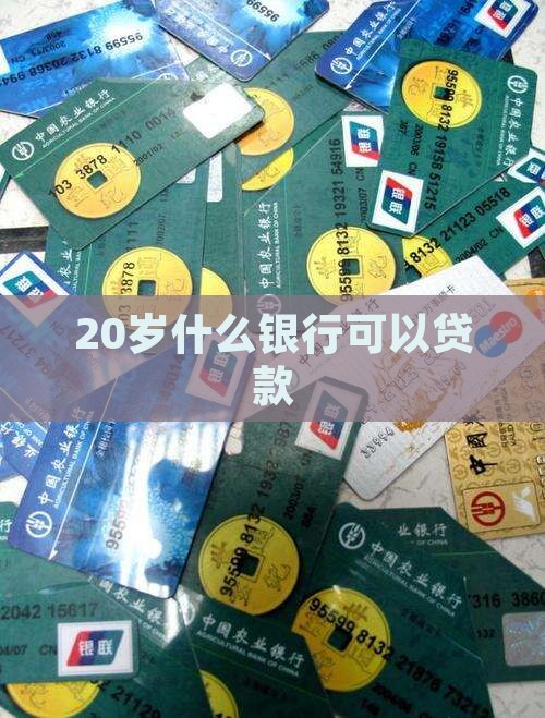 20岁什么银行可以贷款