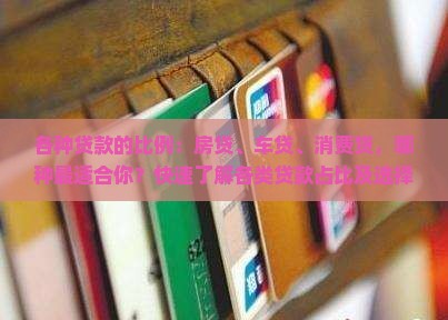 各种贷款的比例 各种贷款的比例
