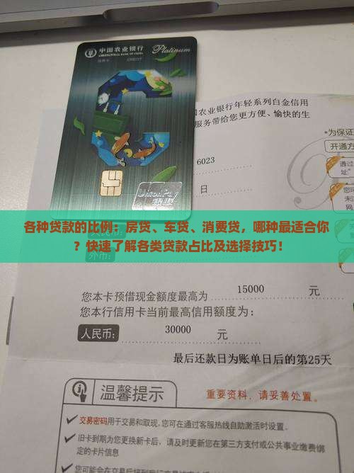 各种贷款的比例 各种贷款的比例