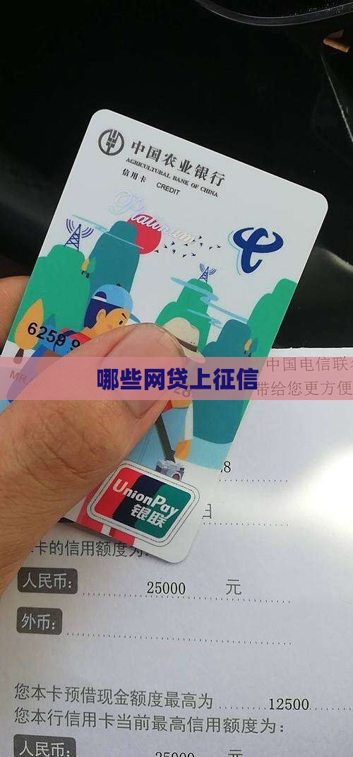 哪些小额贷款上征信系统