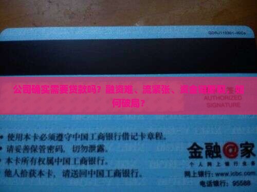 公司确实需要贷款吗