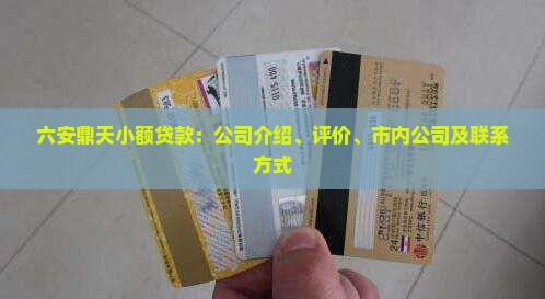 六安鼎天小额贷款