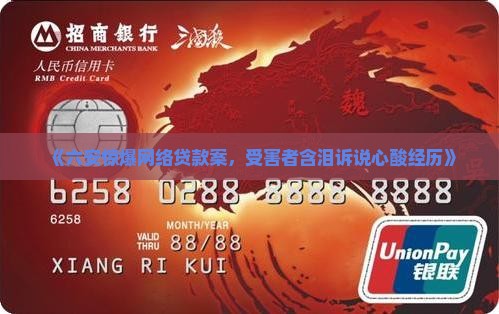 安徽六安网络贷款案件