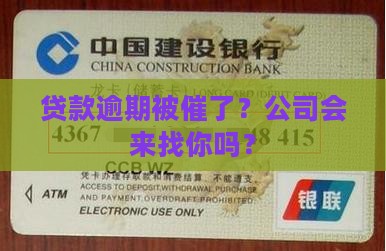 什么贷款没还会找公司