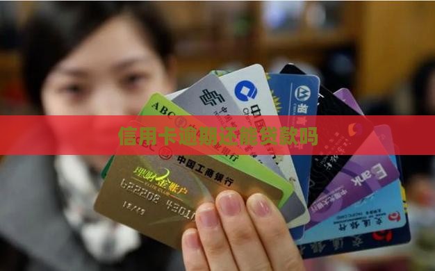 信用卡逾期还能贷款吗6