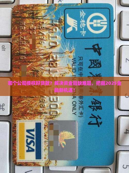 哪个公司授权好贷款