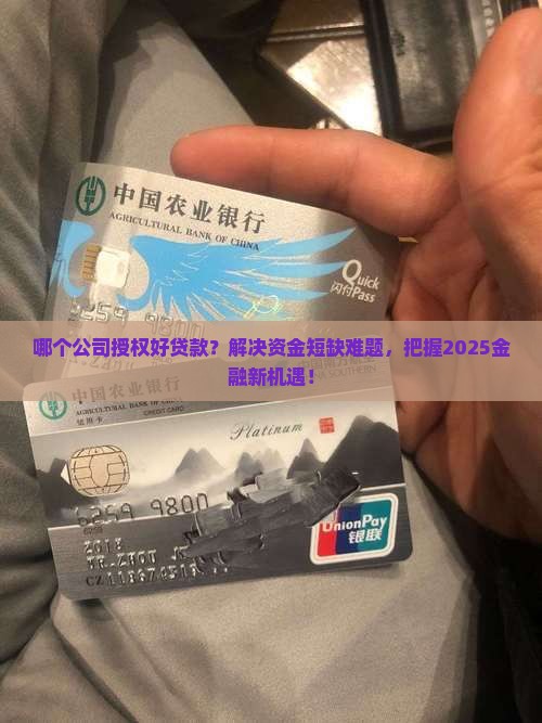 哪个公司授权好贷款