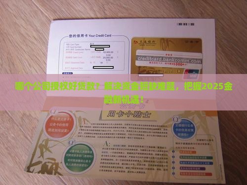 哪个公司授权好贷款
