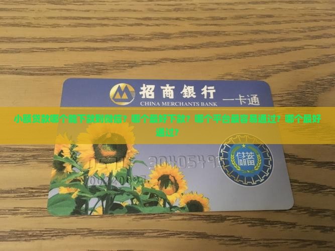 小额贷款哪个能下款 小额贷款哪个能下款