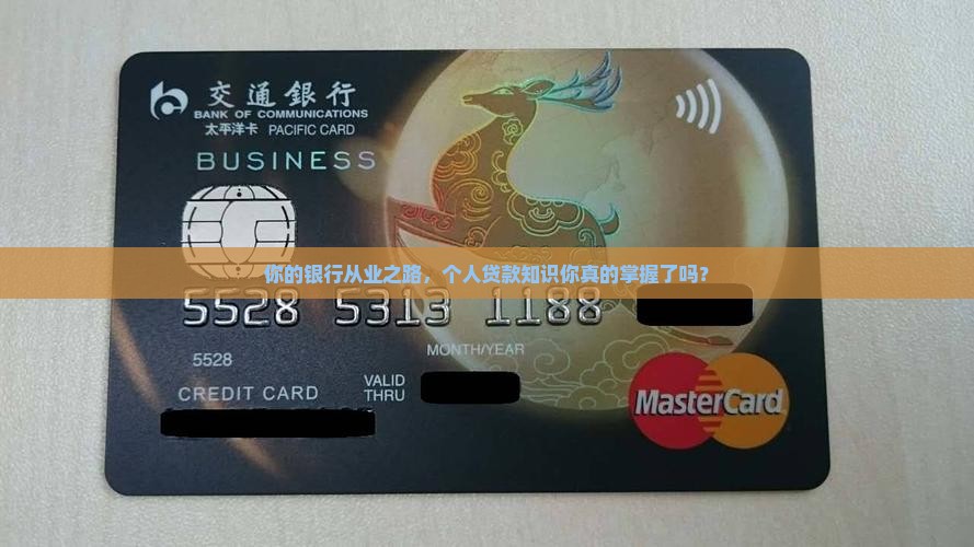 历年银行从业个人贷款